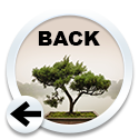 Back Button