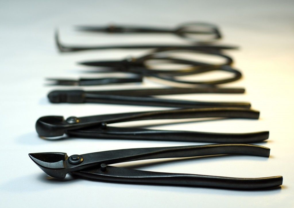 Bonsai Tools How to Take Care of a Bonsai Tree